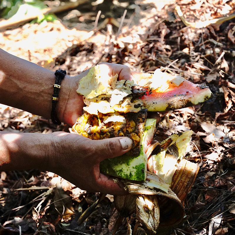 sustentabilidad real